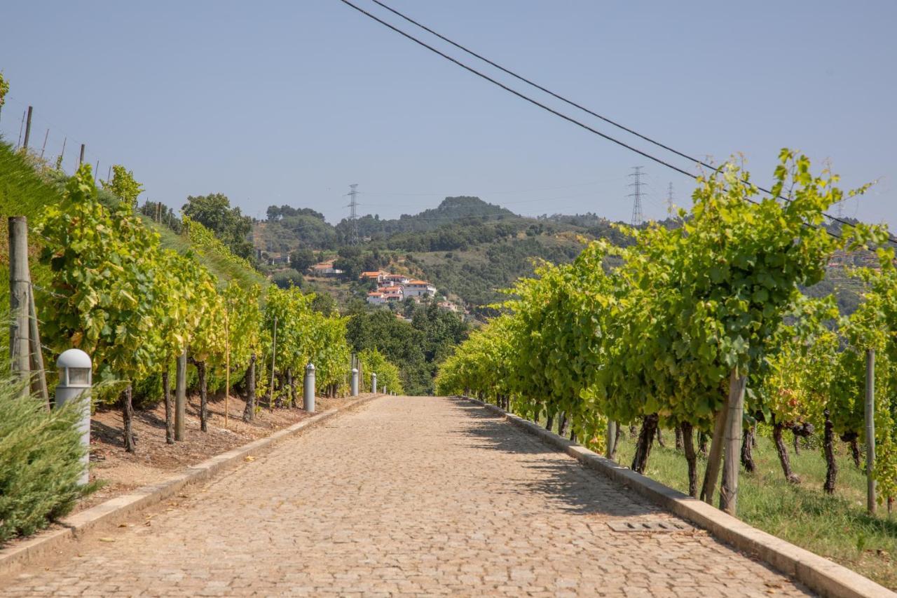 Quinta Da Granja Apartment Baiao Ngoại thất bức ảnh